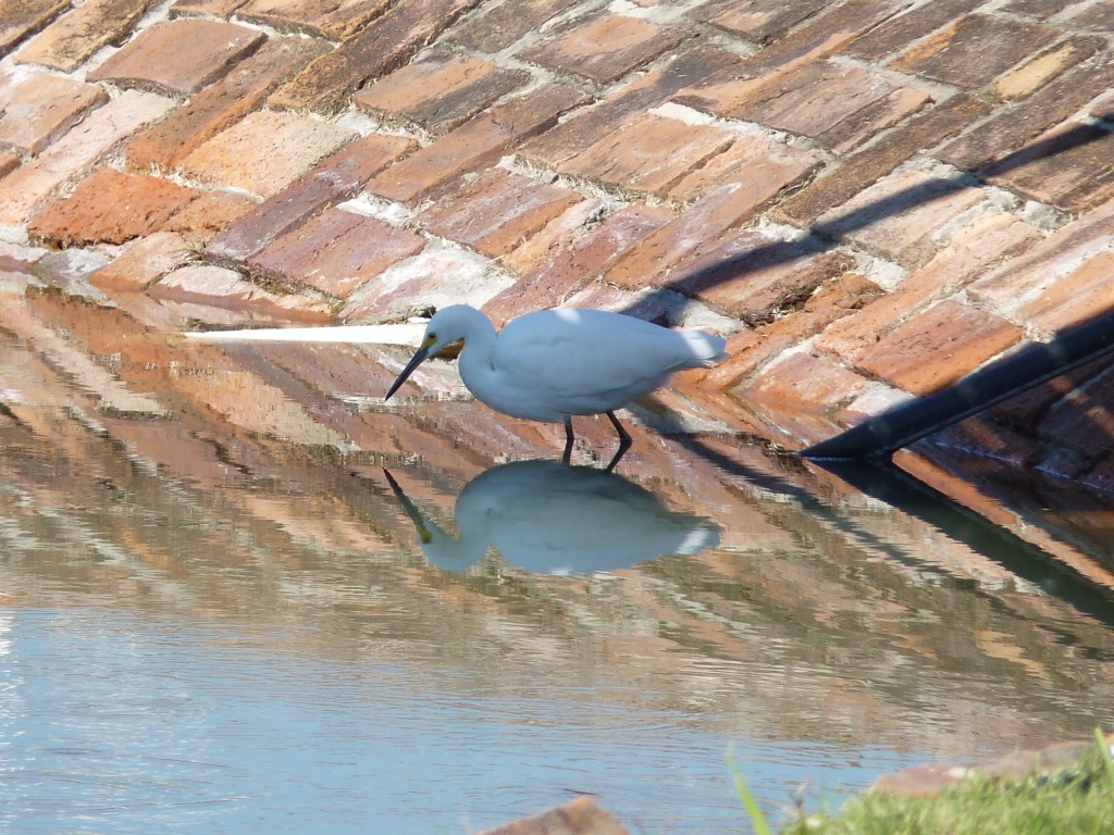 Foto: Termas del Guaychú - Gualeguaychú (Entre Ríos), Argentina
