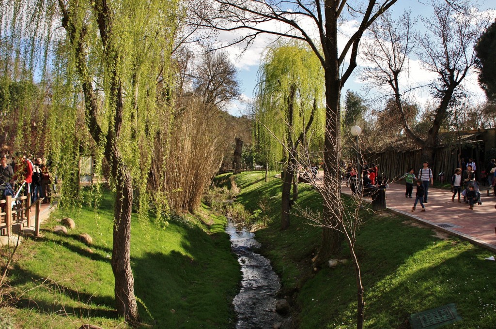 Foto: Zoo - Madrid (Comunidad de Madrid), España