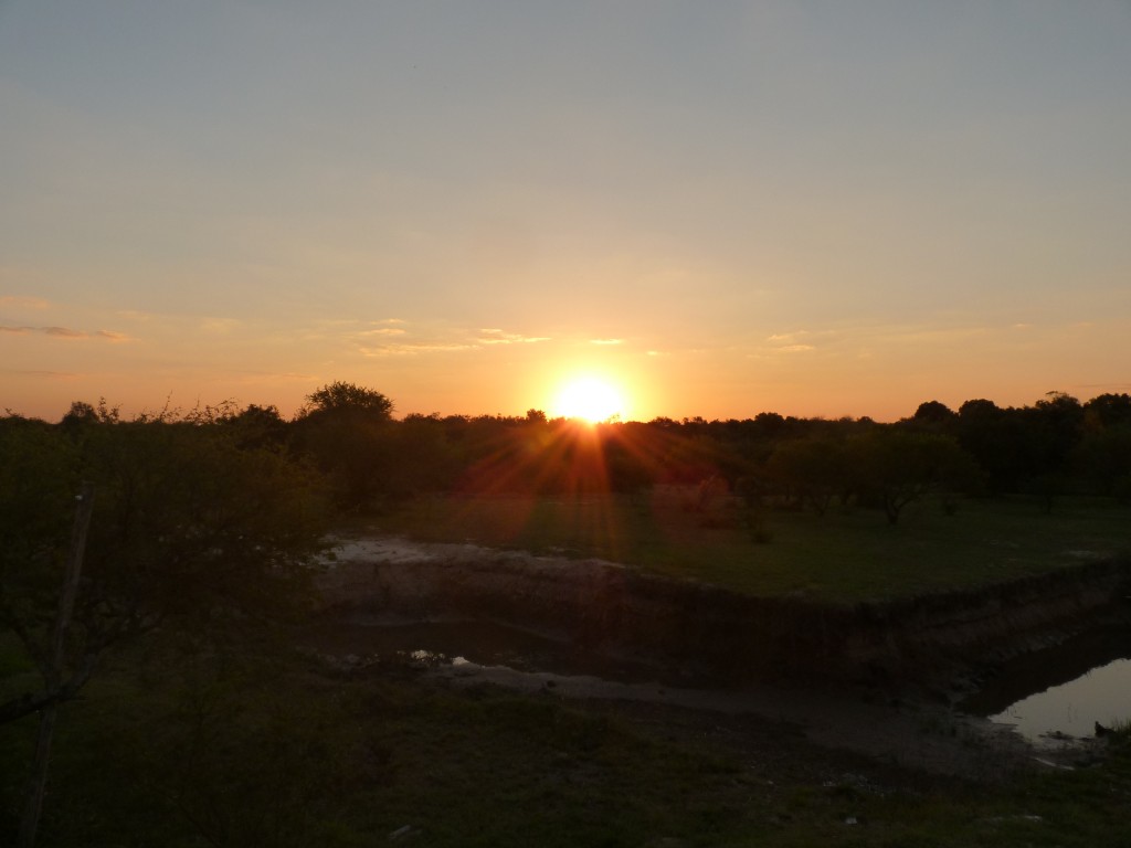 Foto: Atardecer en Guaychú - Gualeguaychú (Entre Ríos), Argentina