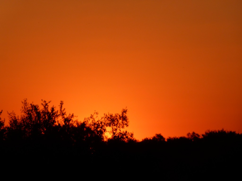 Foto: Atardecer en Guaychú - Gualeguaychú (Entre Ríos), Argentina