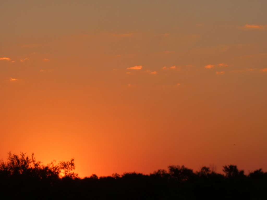 Foto: Atardecer en Guaychú - Gualeguaychú (Entre Ríos), Argentina