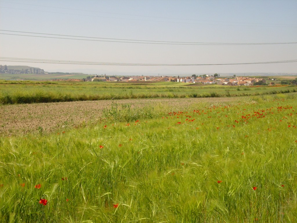 Foto de Yuncler (Toledo), España