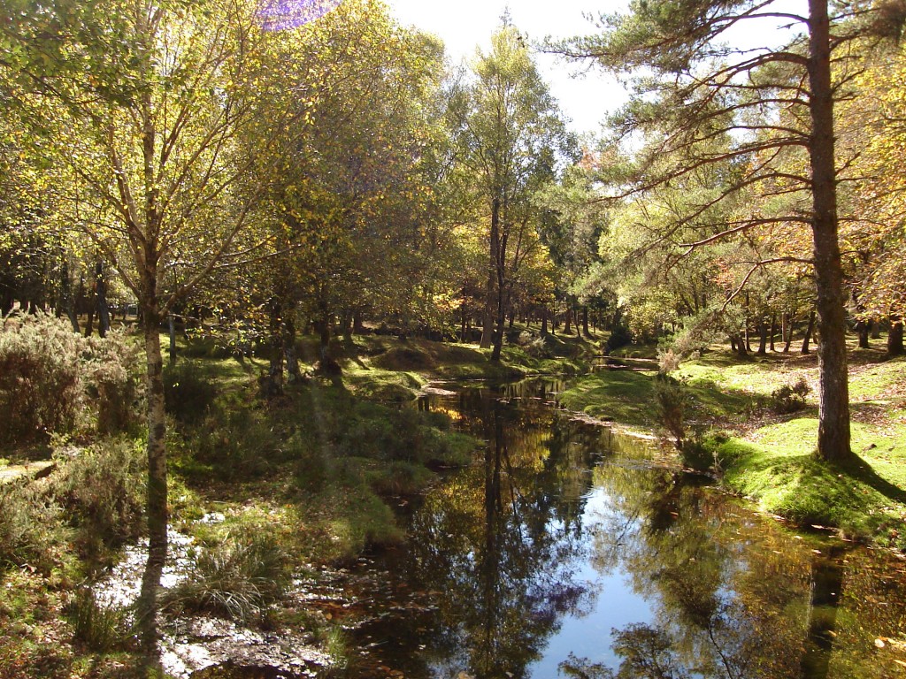 Foto de Lamas de Mouro (Viana do Castelo), Portugal