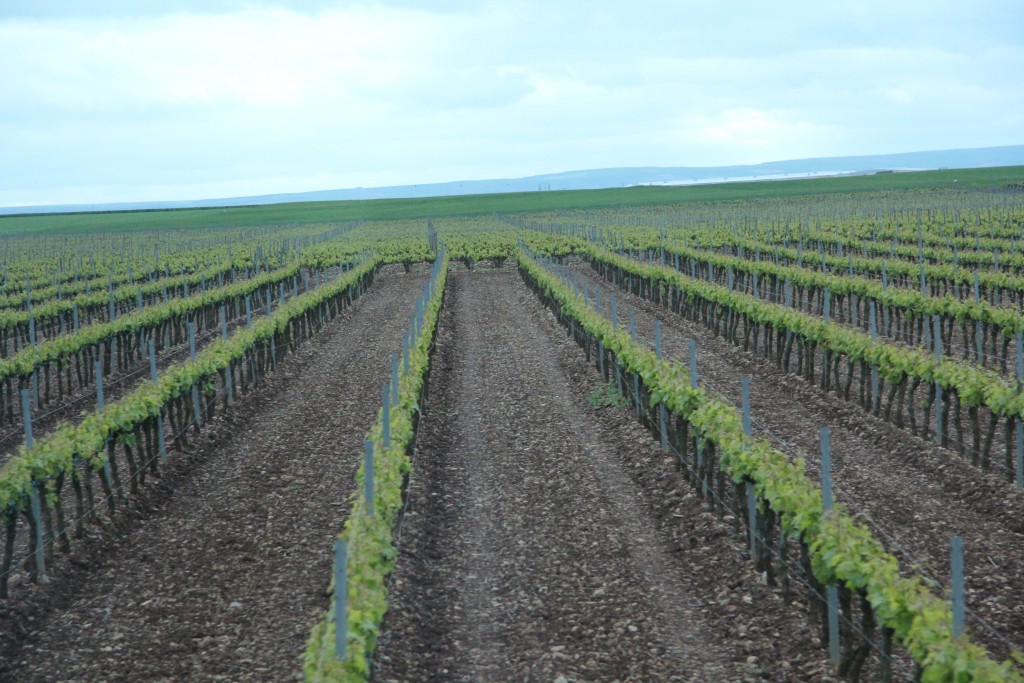 Foto de Haro (La Rioja), España