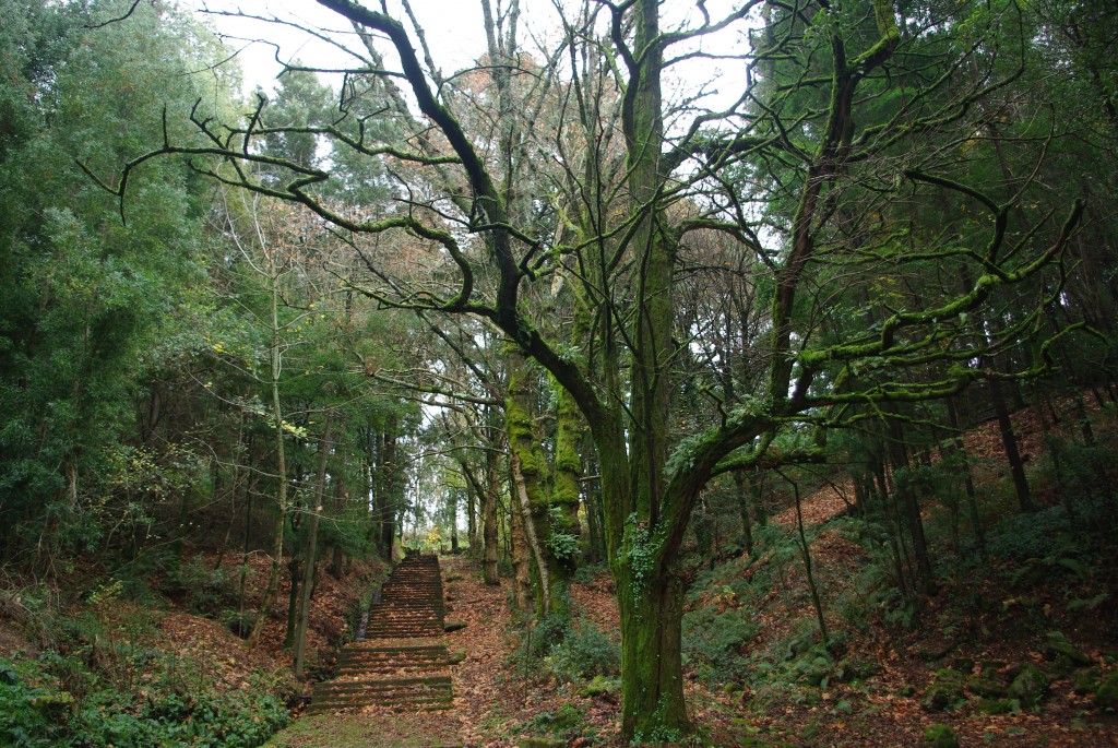Foto de Valença (Viana do Castelo), Portugal