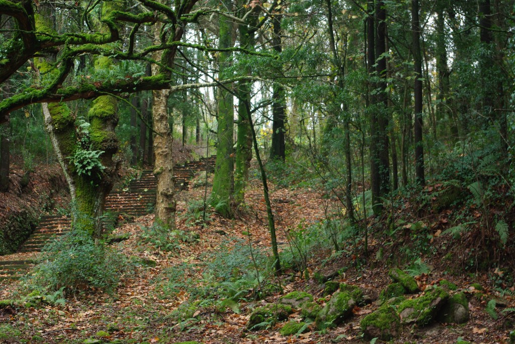 Foto de Valença (Viana do Castelo), Portugal