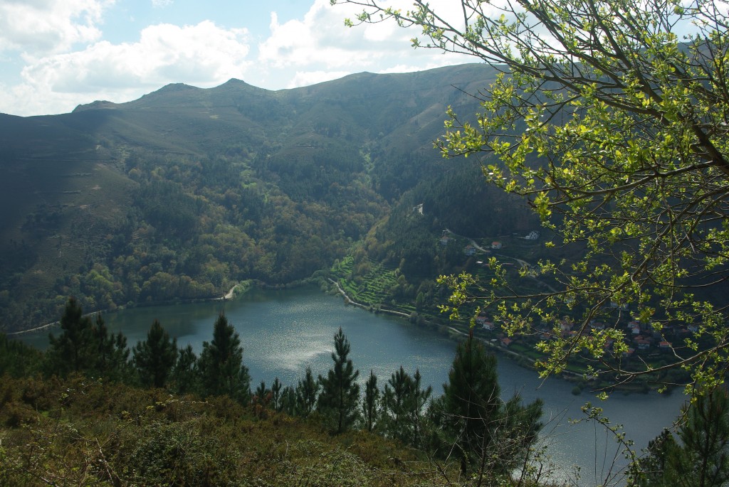 Foto de Olelas-Entrimo (Ourense), España