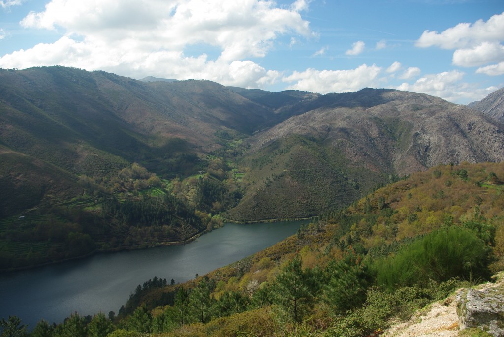 Foto de Olelas-Entrimo (Ourense), España