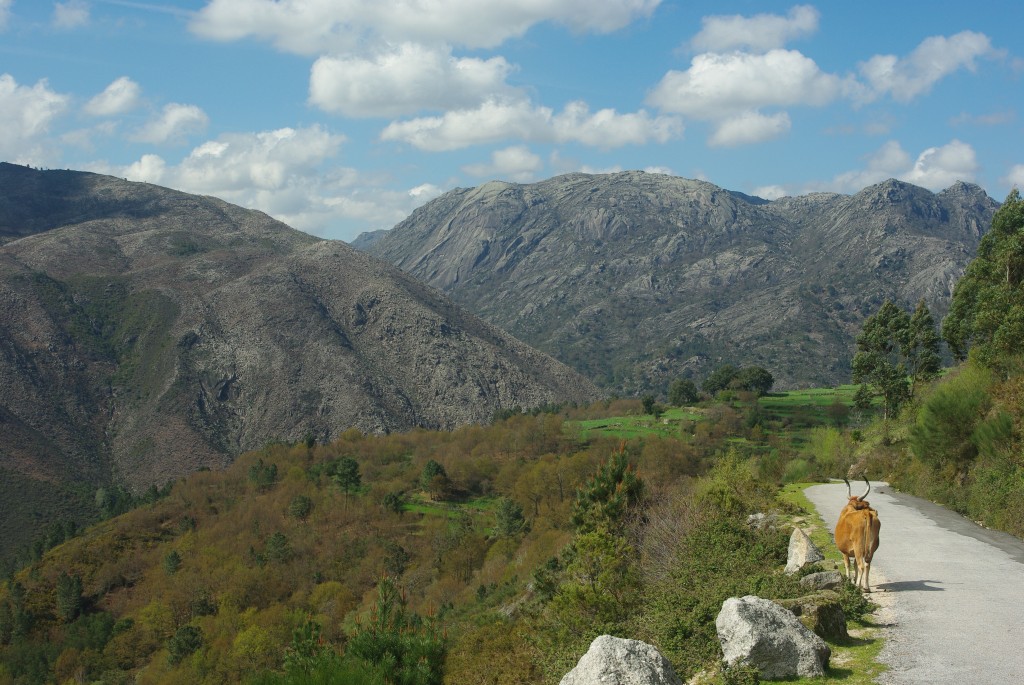 Foto de Olelas-Entrimo (Ourense), España