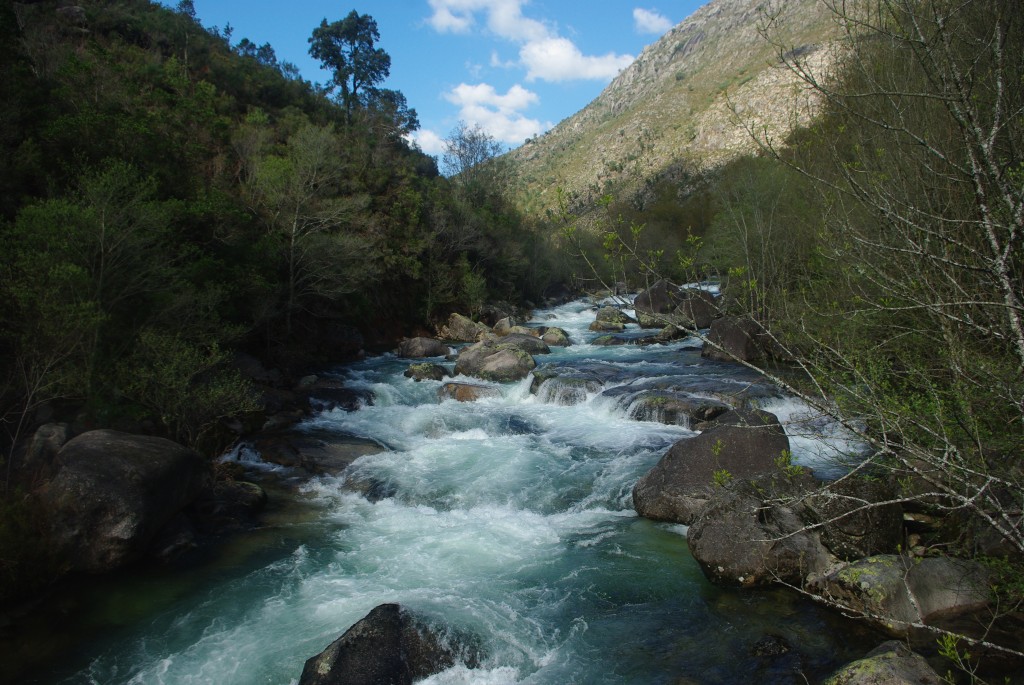 Foto de Olelas-Entrimo (Ourense), España