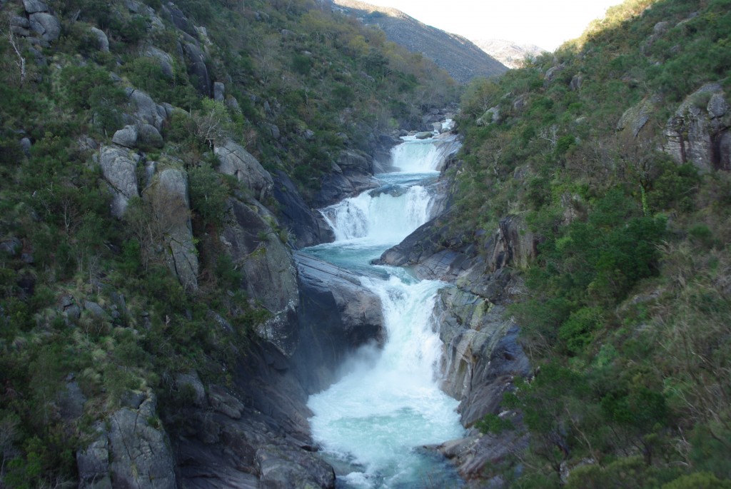 Foto de Olelas-Entrimo (Ourense), España