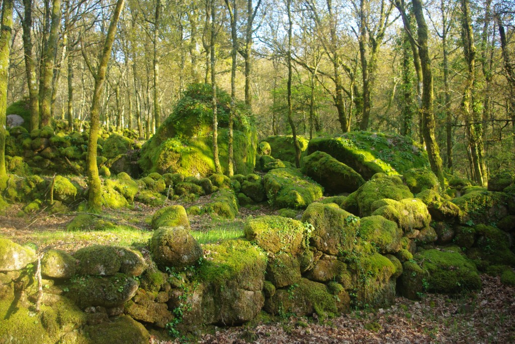 Foto de Olelas-Entrimo (Ourense), España