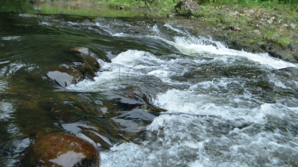 Foto: Rios - Upala (Alajuela), Costa Rica