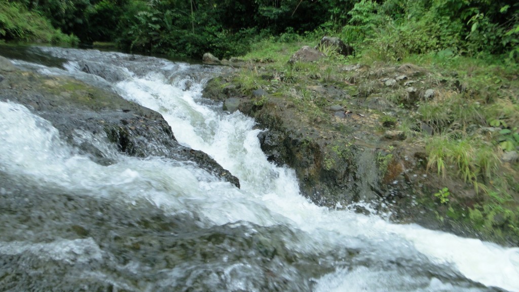 Foto: Rios - Upala (Alajuela), Costa Rica