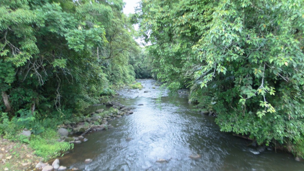 Foto: Rios - Upala (Alajuela), Costa Rica