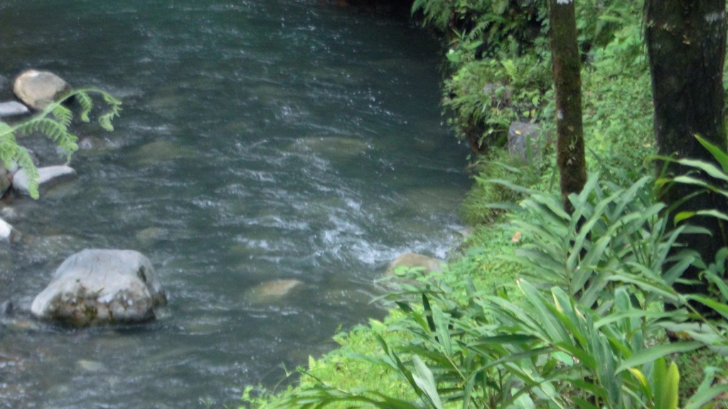 Foto de Upala (Alajuela), Costa Rica