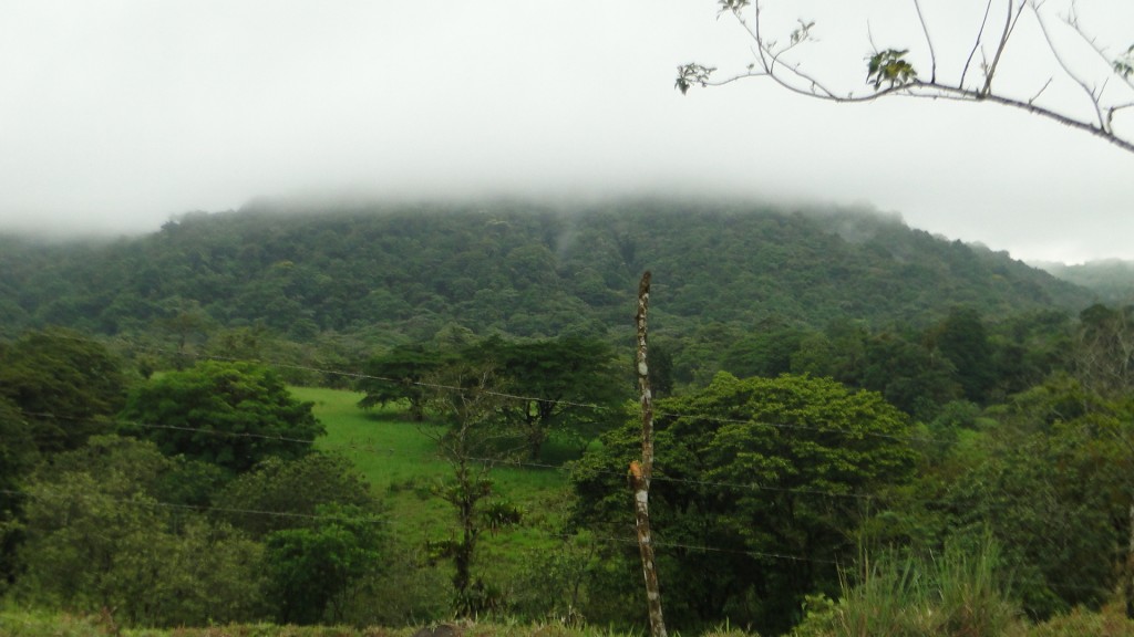 Foto de Upala (Alajuela), Costa Rica