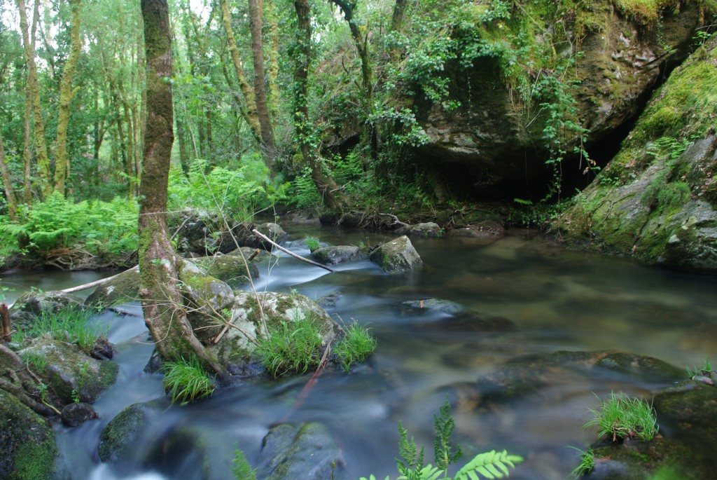 Foto de Creciente (Pontevedra), España