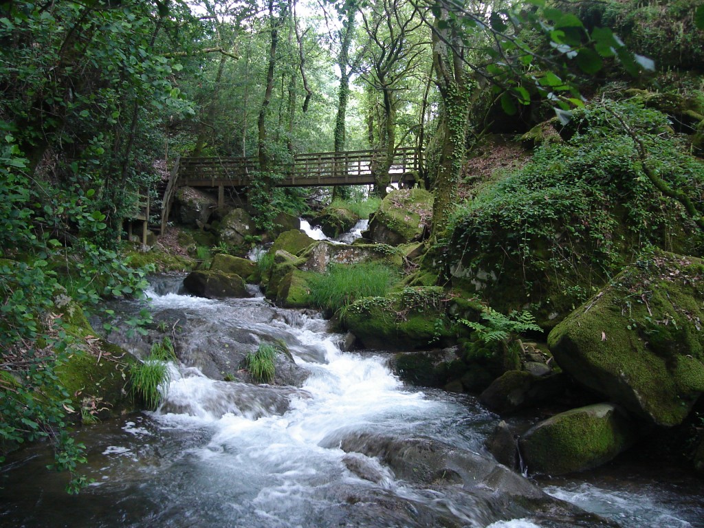 Foto de Lousame (A Coruña), España