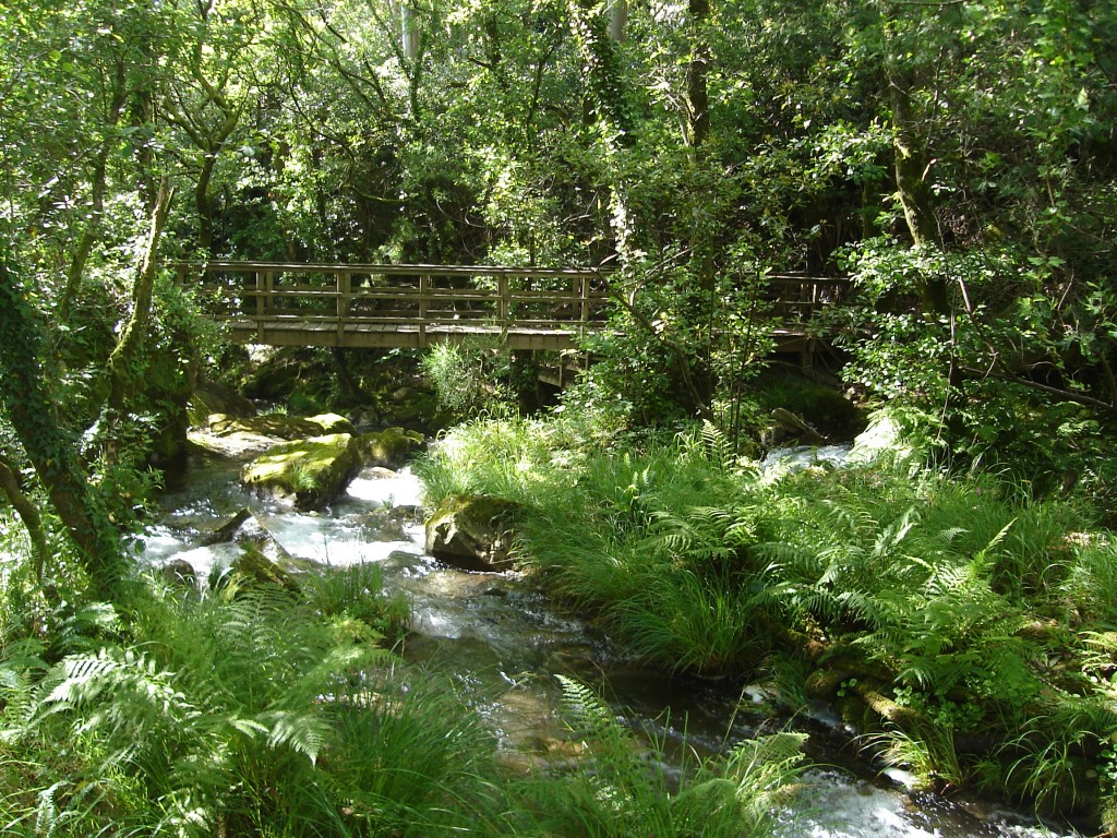 Foto de Lousame (A Coruña), España