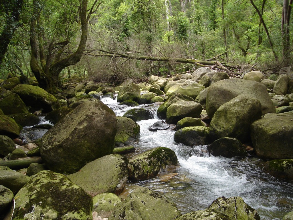 Foto de Pobra do Caramiñal (A Coruña), España