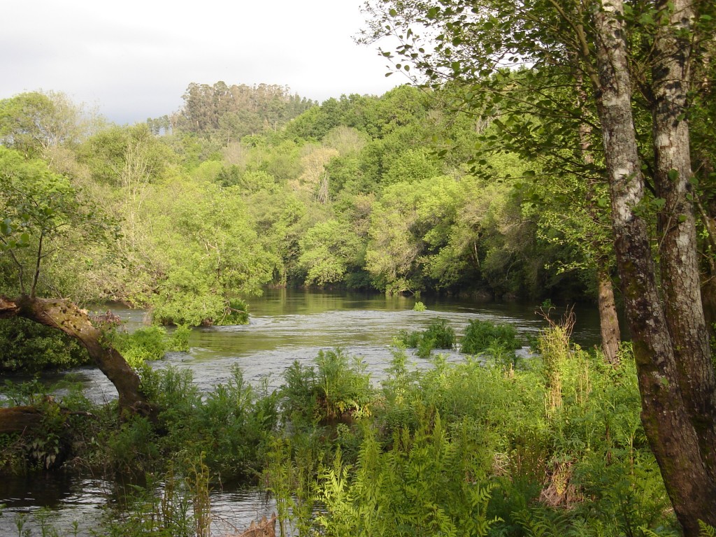 Foto de Ponte Ulla-Vedra (A Coruña), España