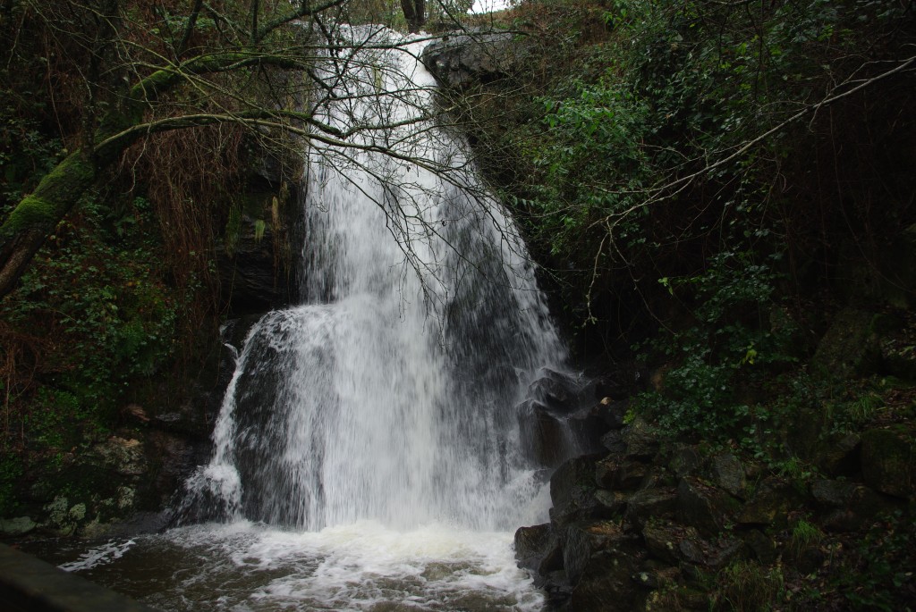 Foto de Paradela (Lugo), España