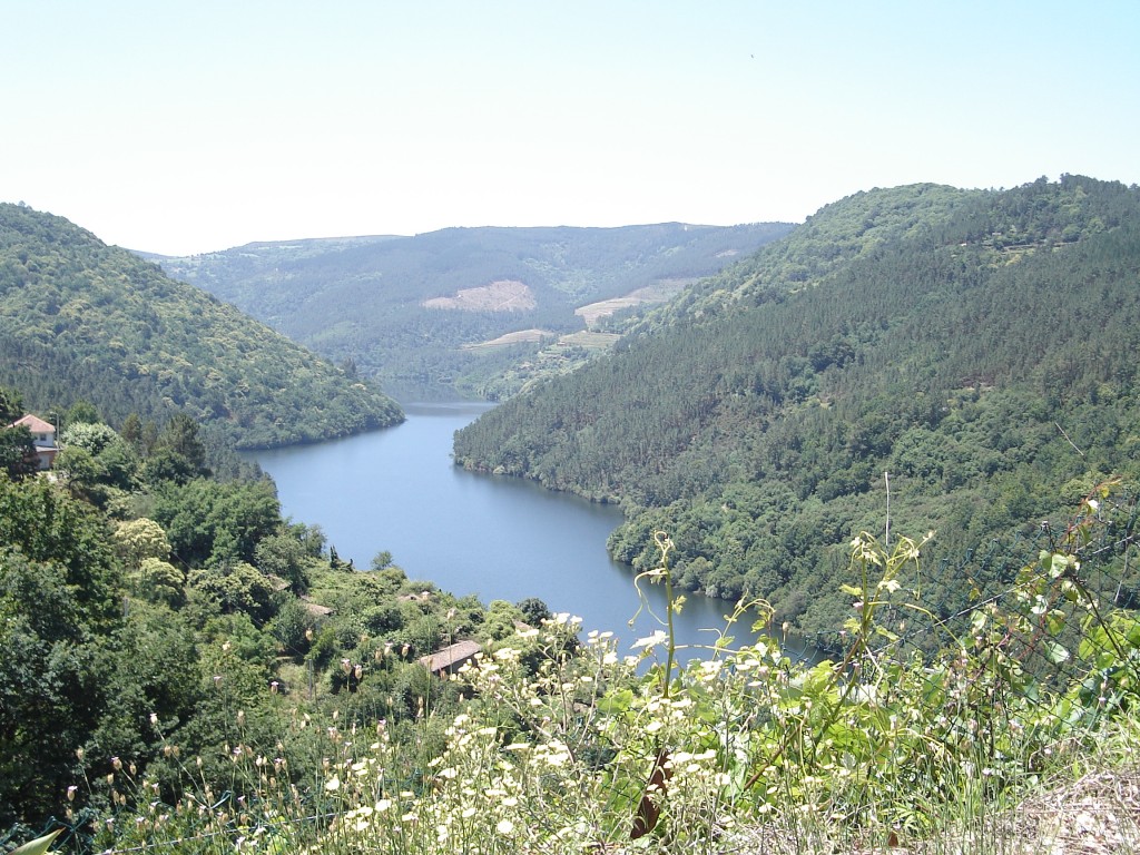 Foto de O Saviñao (Lugo), España