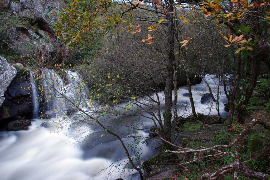Foto de Palas de Rei (Lugo), España