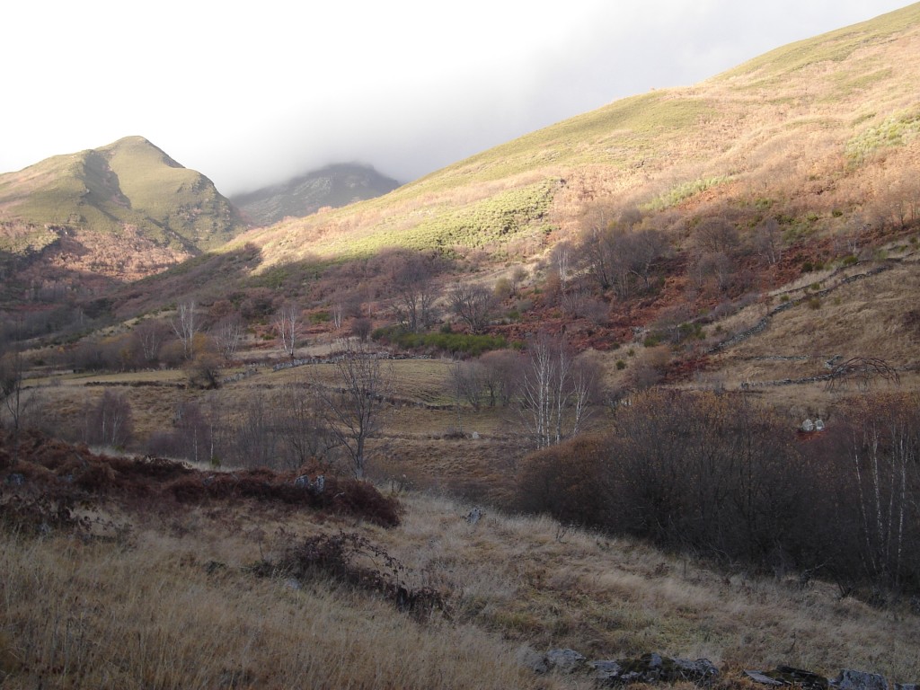 Foto de A Seara (Lugo), España