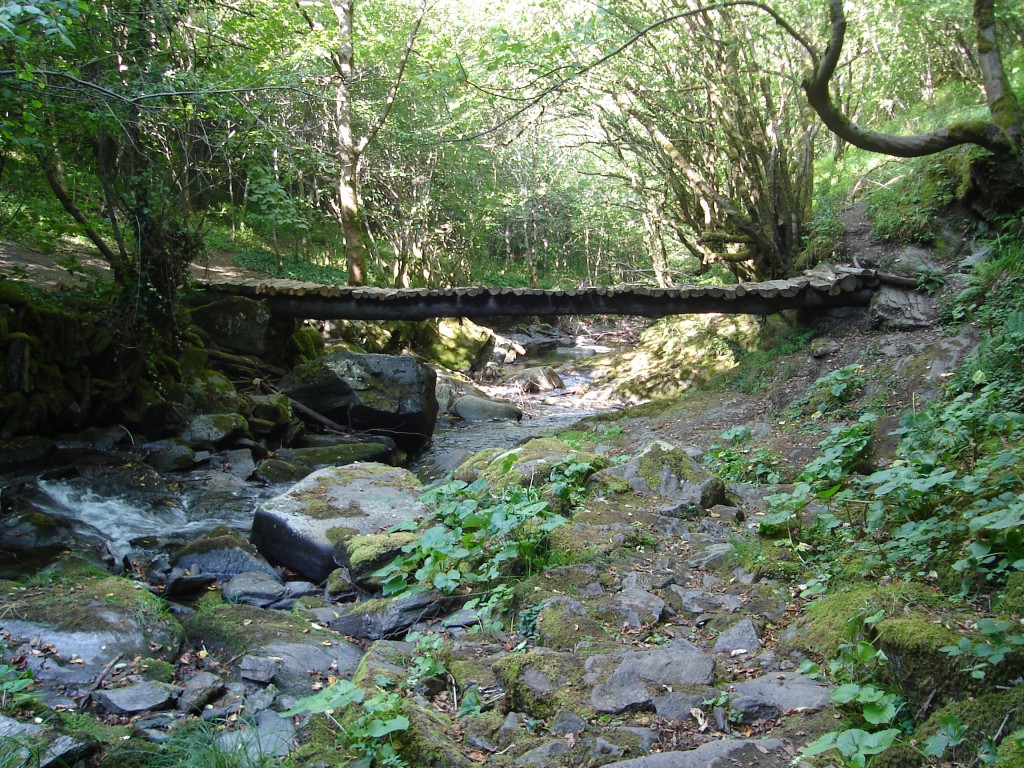 Foto de Vieiros (Lugo), España