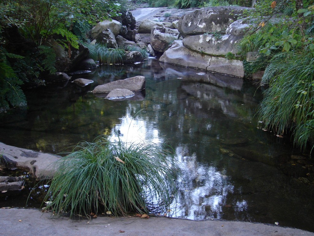 Foto de Melon (Ourense), España
