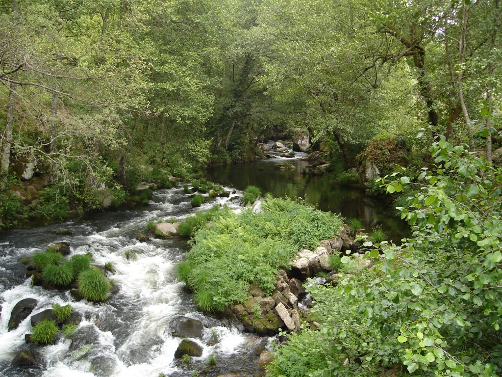 Foto de Carballiño (Ourense), España