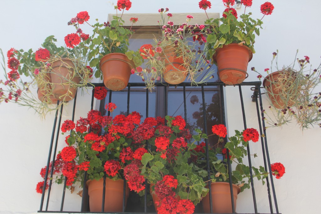 Foto de Fuenteheridos (Huelva), España