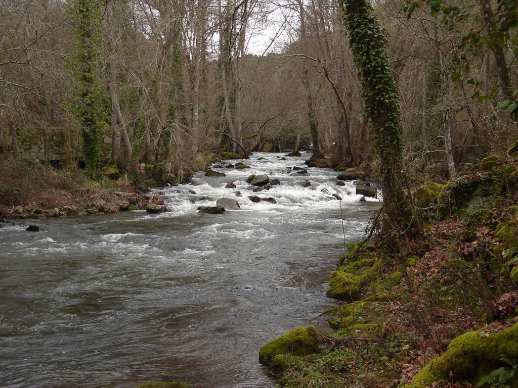 Foto de Pazos de Arenteiro (Ourense), España
