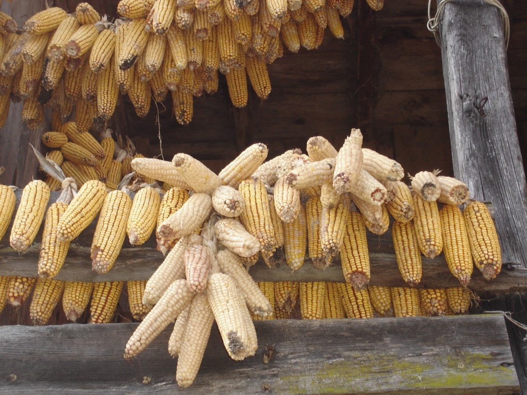 Foto de Quines (Ourense), España