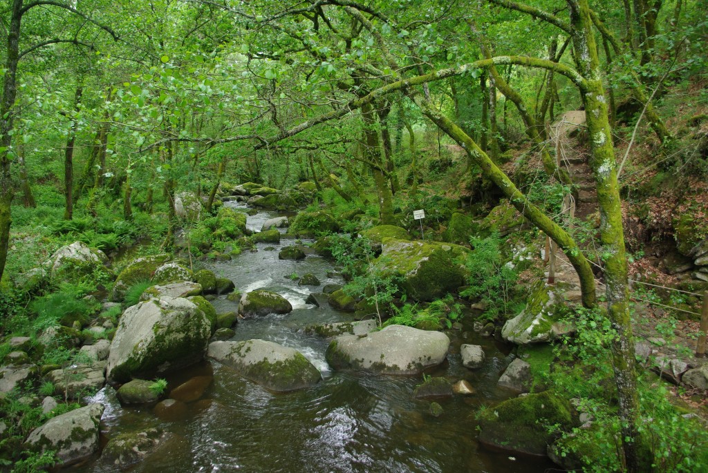 Foto de Punxin (Ourense), España
