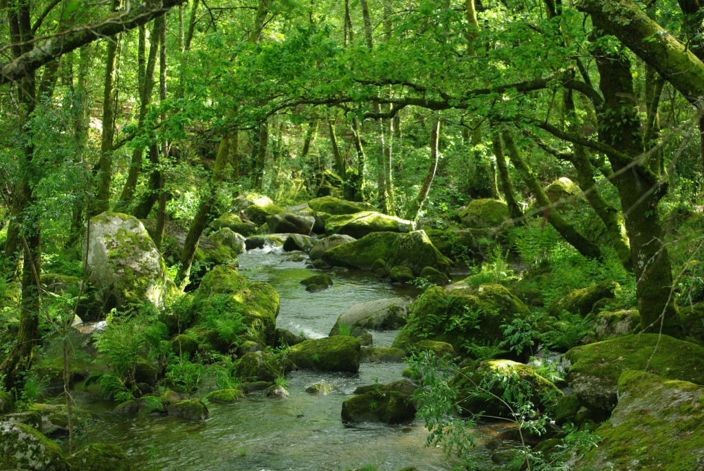 Foto de Punxin (Ourense), España