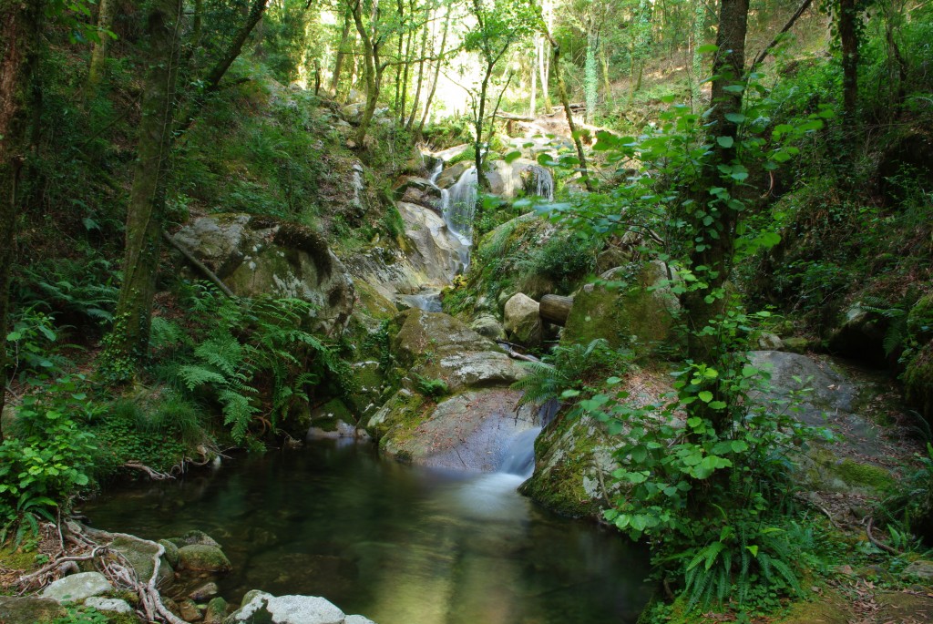 Foto de Moaña (Pontevedra), España