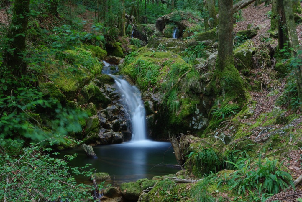 Foto de Moaña (Pontevedra), España