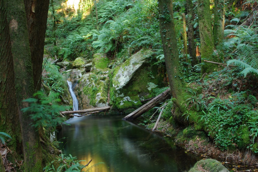 Foto de Moaña (Pontevedra), España
