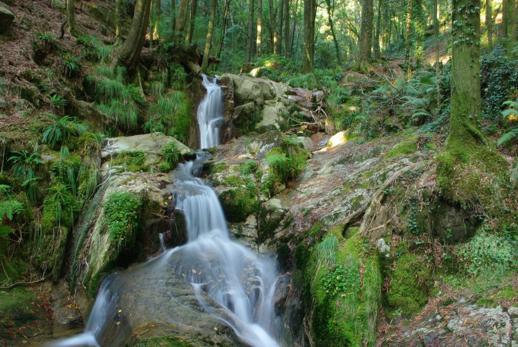 Foto de Moaña (Pontevedra), España
