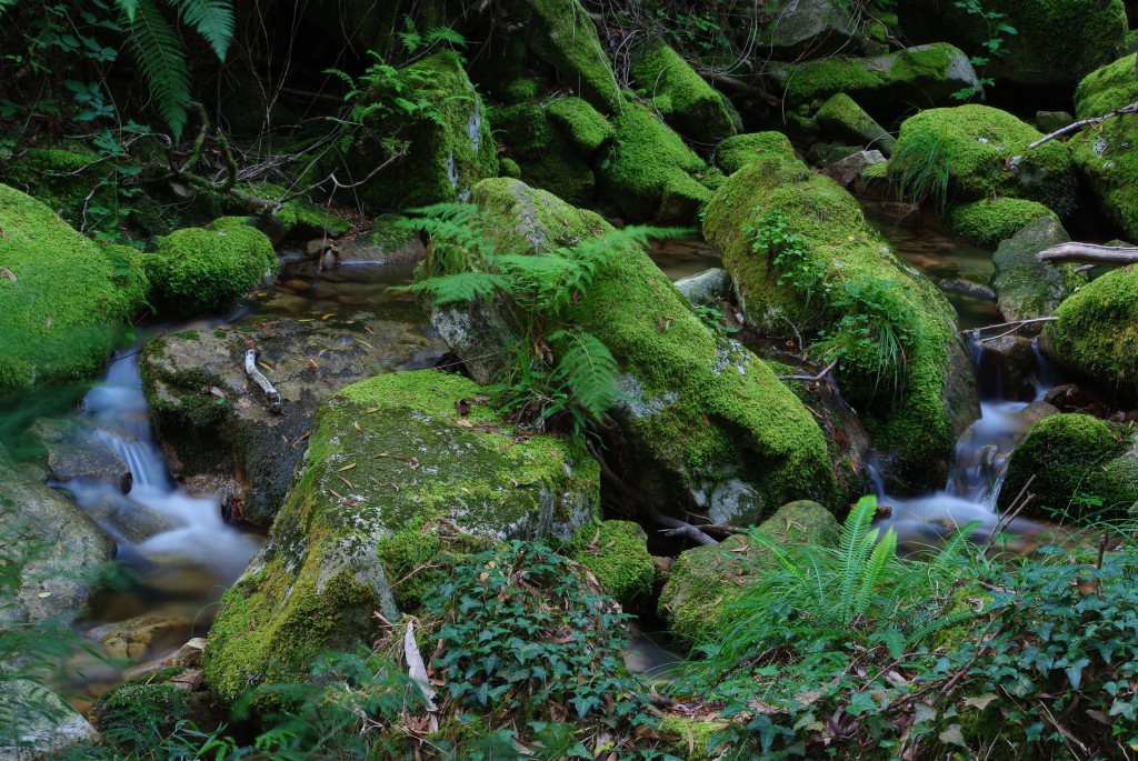 Foto de Moaña (Pontevedra), España