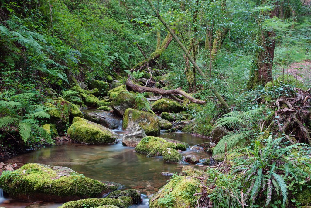 Foto de Moaña (Pontevedra), España