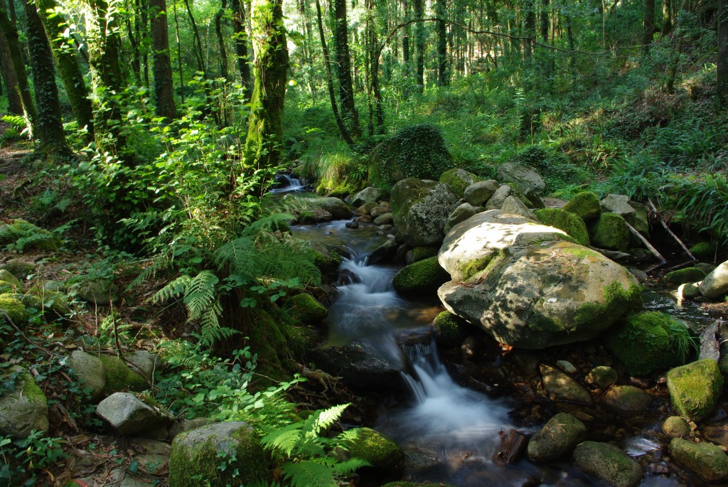 Foto de Moaña (Pontevedra), España