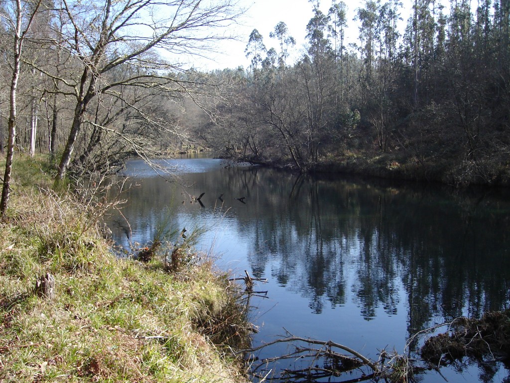 Foto de Pontecaldelas (Pontevedra), España