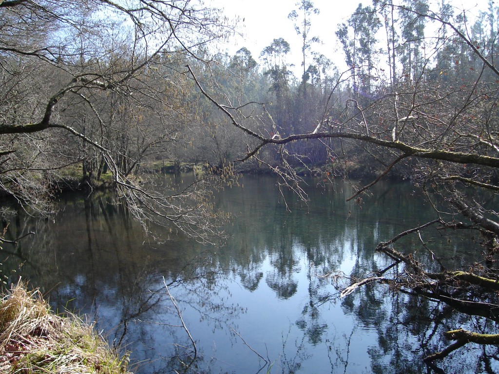 Foto de Pontecaldelas (Pontevedra), España