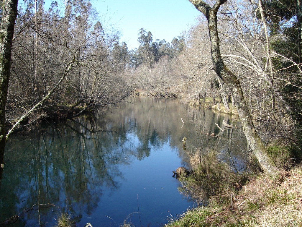 Foto de Pontecaldelas (Pontevedra), España