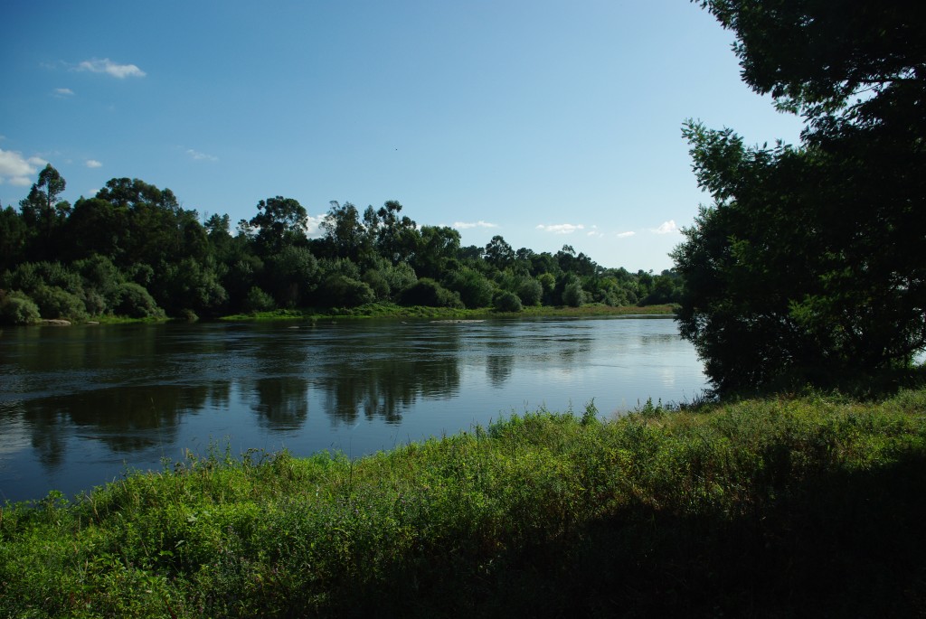 Foto de As Neves (Pontevedra), España