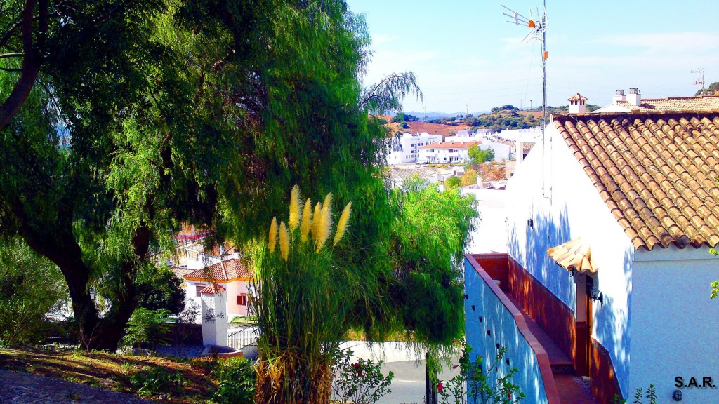 Foto: Calle Las Brozas - Alcala De Los Gazules (Cádiz), España